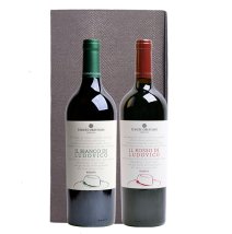 Duo Ludovico