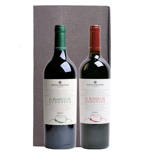 Duo Ludovico