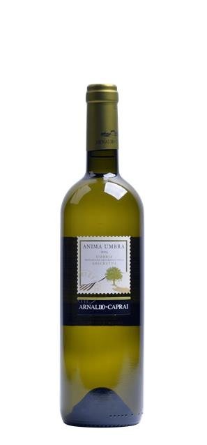 2020 Anima Umbra Bianco (0,75L) - Arnaldo Caprai - Italiaanse witte wijn