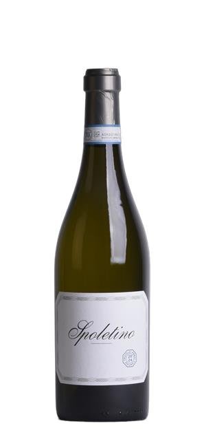 2024 Spoletino (0,75L) - Cantina Fratelli Pardi - Italiaanse witte wijn