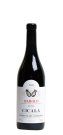Barolo Bussia Cicala - Conterno Aldo