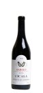 Barolo Bussia Cicala - Conterno Aldo