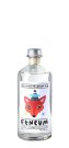 Etneum Volcanic Premium Gin - Aetnae