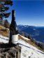 Chardonnay Caliz - Kurtatsch