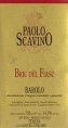 Barolo Bric del Fiäsc - Scavino Paolo