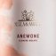 Anemone Rosato - Sella&Mosca