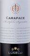 Montefalco Sagrantino Carapace - Tenuta Castelbuono