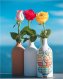 Olio Medio Pop Art Cactus - Muraglia