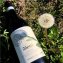 Langhe Nebbiolo Perbacco - Vietti