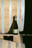 Quattrocento Extra Brut 40 Lune - Nicola Gatta