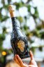 Solo Vida Reserva Brut Nature - Solo Vida by Tomorrowland