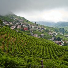 foto: Jeroen Hanselaer